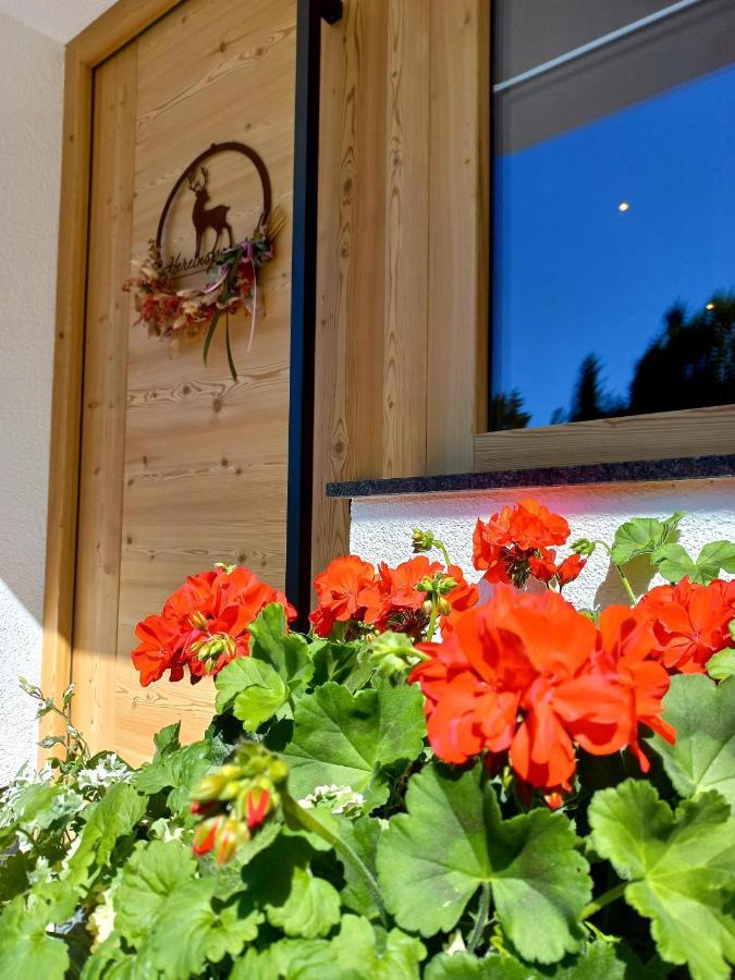 BERGappartement KINK Hopfgarten im Brixental Exterior foto